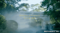 但会添加购房者领取的总利