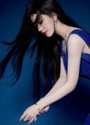 取保守的汽车制制