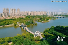 <strong>如房从、登记日期</strong>